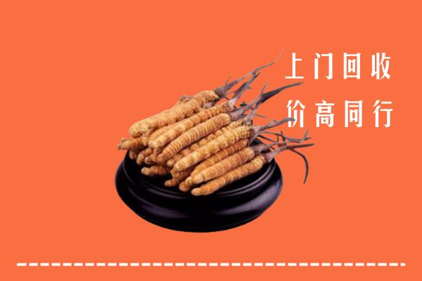 高价求购：许昌回收散虫草
