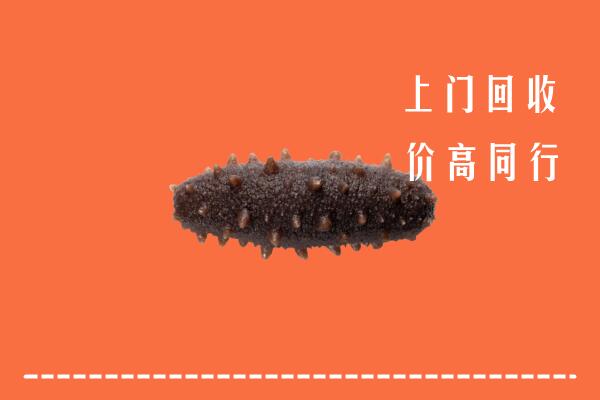 高价求购：许昌回收海参