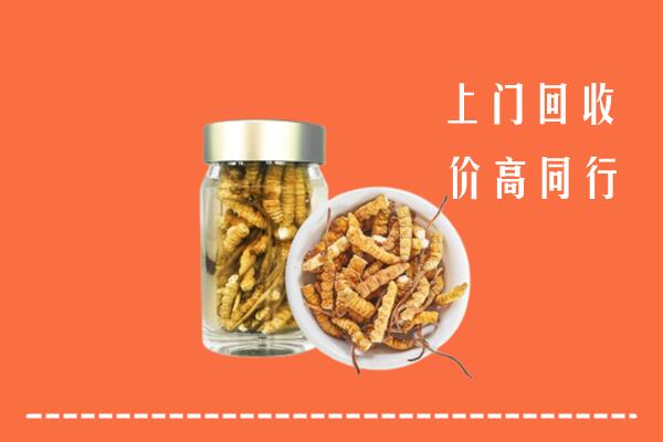 许昌回收冬虫夏草